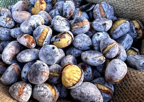 Carrossel Magusto 10